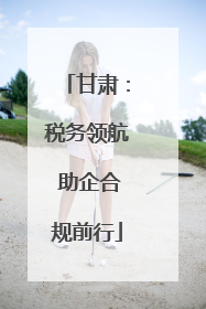 甘肃：税务领航 助企合规前行