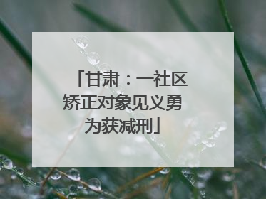 甘肃：一社区矫正对象见义勇为获减刑