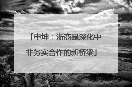 申坤：浙商是深化中非务实合作的新桥梁