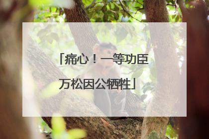 痛心！一等功臣万松因公牺牲