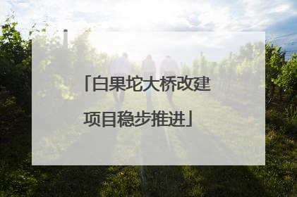 白果坨大桥改建项目稳步推进
