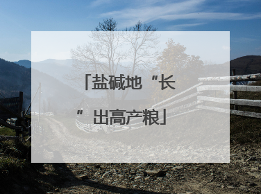 盐碱地“长”出高产粮