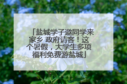盐城学子邀同学来家乡 政府请客！这个暑假，大学生多项福利免费游盐城