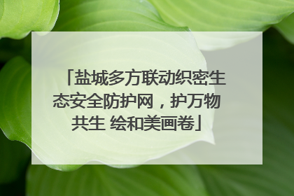 盐城多方联动织密生态安全防护网，护万物共生 绘和美画卷