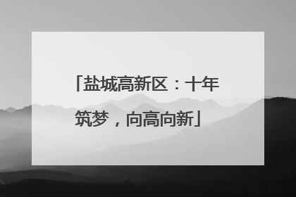 盐城高新区：十年筑梦，向高向新
