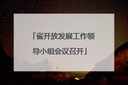 省开放发展工作领导小组会议召开