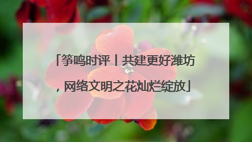 筝鸣时评丨共建更好潍坊，网络文明之花灿烂绽放