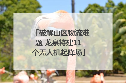 破解山区物流难题 龙泉将建11个无人机起降场