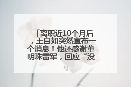 离职近10个月后，王自如突然宣布一个消息！他还感谢董明珠雷军，回应“没看过格力工资条”：真的不那么重要！