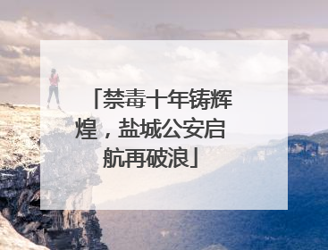 禁毒十年铸辉煌，盐城公安启航再破浪