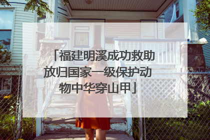 福建明溪成功救助放归国家一级保护动物中华穿山甲