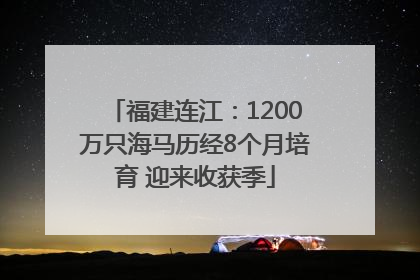 福建连江：1200万只海马历经8个月培育 迎来收获季