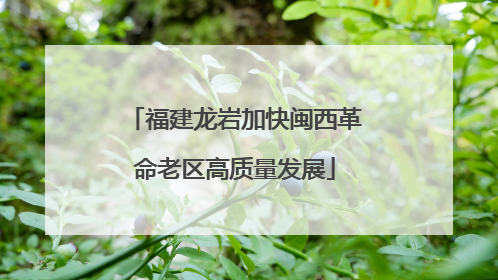 福建龙岩加快闽西革命老区高质量发展