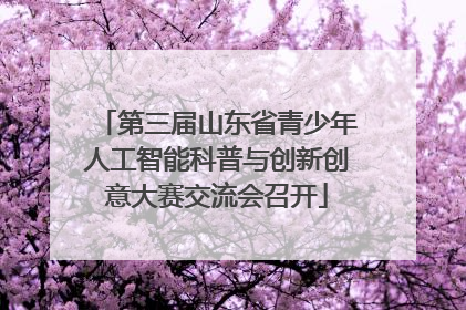 第三届山东省青少年人工智能科普与创新创意大赛交流会召开