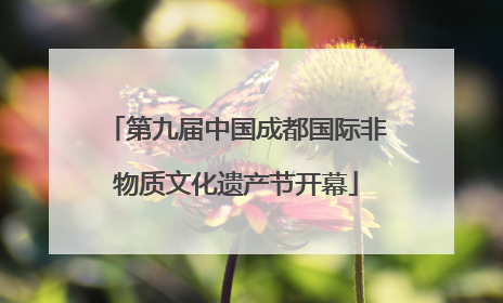 第九届中国成都国际非物质文化遗产节开幕