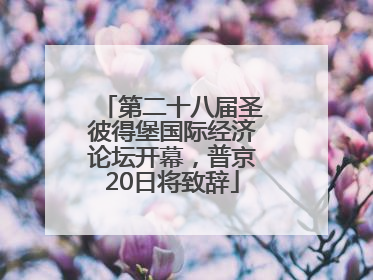 第二十八届圣彼得堡国际经济论坛开幕，普京20日将致辞