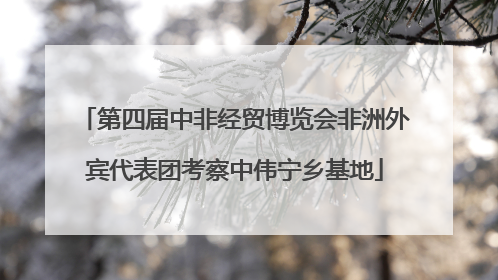第四届中非经贸博览会非洲外宾代表团考察中伟宁乡基地