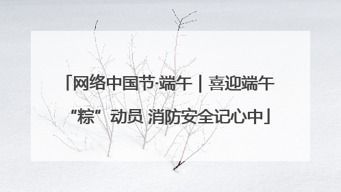 网络中国节·端午｜喜迎端午“粽”动员 消防安全记心中