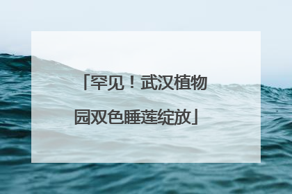 罕见！武汉植物园双色睡莲绽放