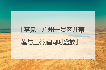 罕见，广州一景区并蒂莲与三蒂莲同时盛放
