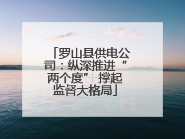 罗山县供电公司：纵深推进“两个度” 撑起监督大格局