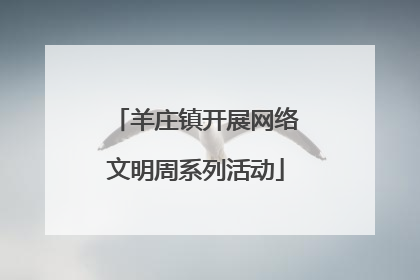 羊庄镇开展网络文明周系列活动