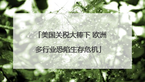 美国关税大棒下 欧洲多行业恐陷生存危机