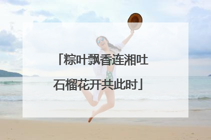 粽叶飘香连湘吐 石榴花开共此时