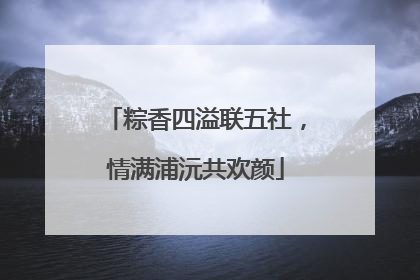 粽香四溢联五社，情满浦沅共欢颜