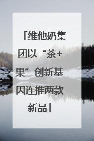 维他奶集团以“茶+果”创新基因连推两款新品