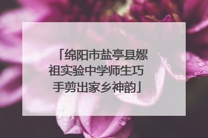 绵阳市盐亭县嫘祖实验中学师生巧手剪出家乡神韵