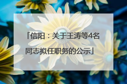 信阳：关于王涛等4名同志拟任职务的公示