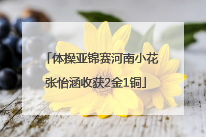 体操亚锦赛河南小花张怡涵收获2金1铜