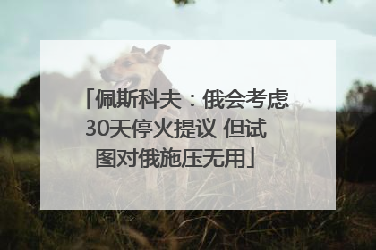 佩斯科夫：俄会考虑30天停火提议 但试图对俄施压无用