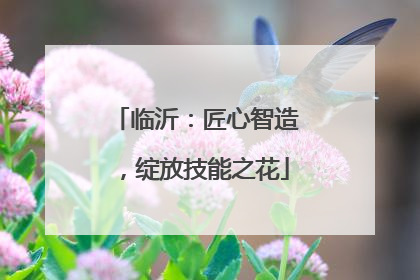 临沂：匠心智造，绽放技能之花