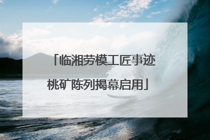 临湘劳模工匠事迹桃矿陈列揭幕启用