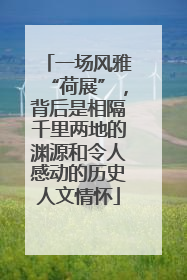 一场风雅“荷展”，背后是相隔千里两地的渊源和令人感动的历史人文情怀