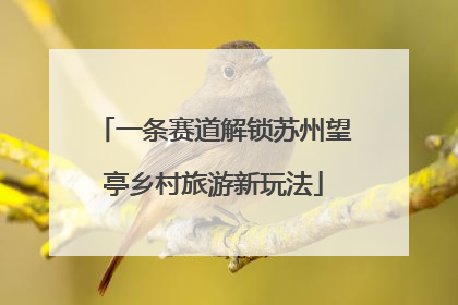 一条赛道解锁苏州望亭乡村旅游新玩法