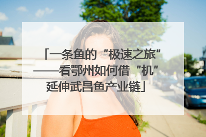 一条鱼的“极速之旅”——看鄂州如何借“机”延伸武昌鱼产业链