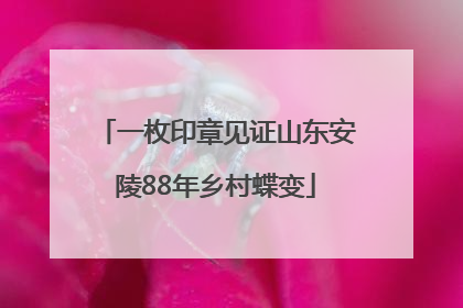 一枚印章见证山东安陵88年乡村蝶变