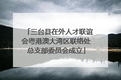 三台县在外人才联谊会粤港澳大湾区联络处总支部委员会成立