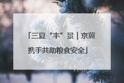 三夏“丰”景｜京冀携手共助粮食安全