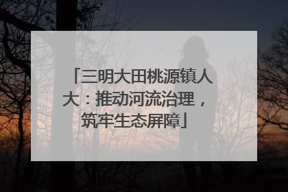 三明大田桃源镇人大：推动河流治理，筑牢生态屏障
