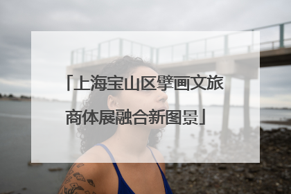 上海宝山区擘画文旅商体展融合新图景