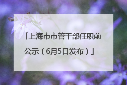 上海市市管干部任职前公示（6月5日发布）