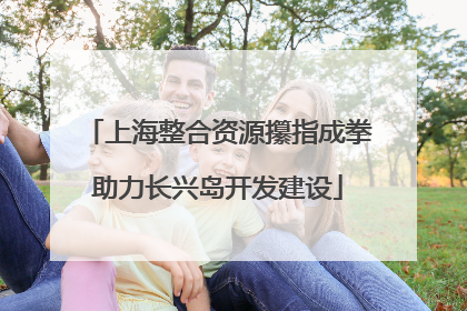 上海整合资源攥指成拳助力长兴岛开发建设
