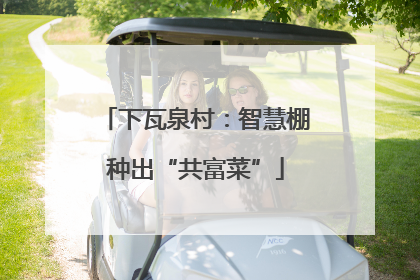 下瓦泉村：智慧棚种出“共富菜”