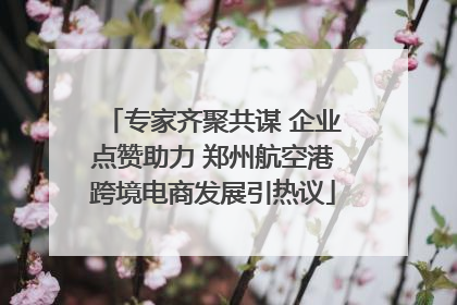 专家齐聚共谋 企业点赞助力 郑州航空港跨境电商发展引热议
