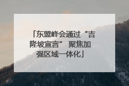 东盟峰会通过“吉隆坡宣言” 聚焦加强区域一体化