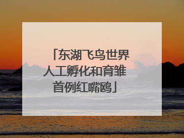 东湖飞鸟世界人工孵化和育雏首例红嘴鸥